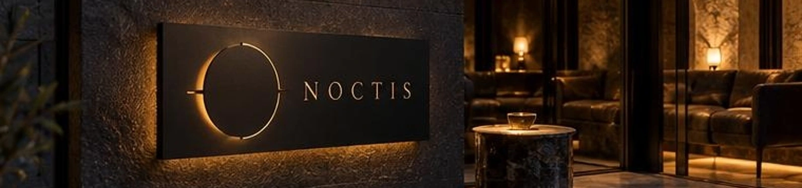 NOCTIS antrasit metal isim ve logo levhası